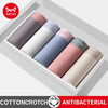 MiiOW Men's Silky Cotton Boxer Shorts — Antibacterial 3-Pack