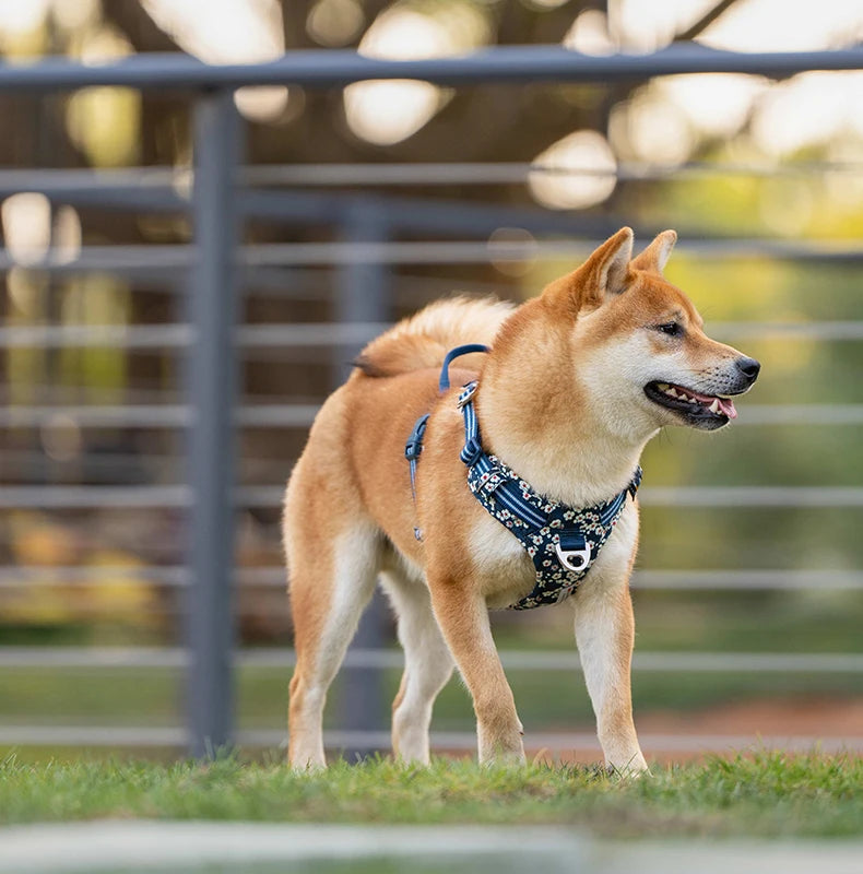 Truelove Pet Harness Fashionable Nylon Durable Dog Harness Reflective Breathable Padded Training Vest Luxury Pet Accessories