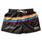 DESMIIT S95 Swim Shorts | Solid & Rainbow Styles