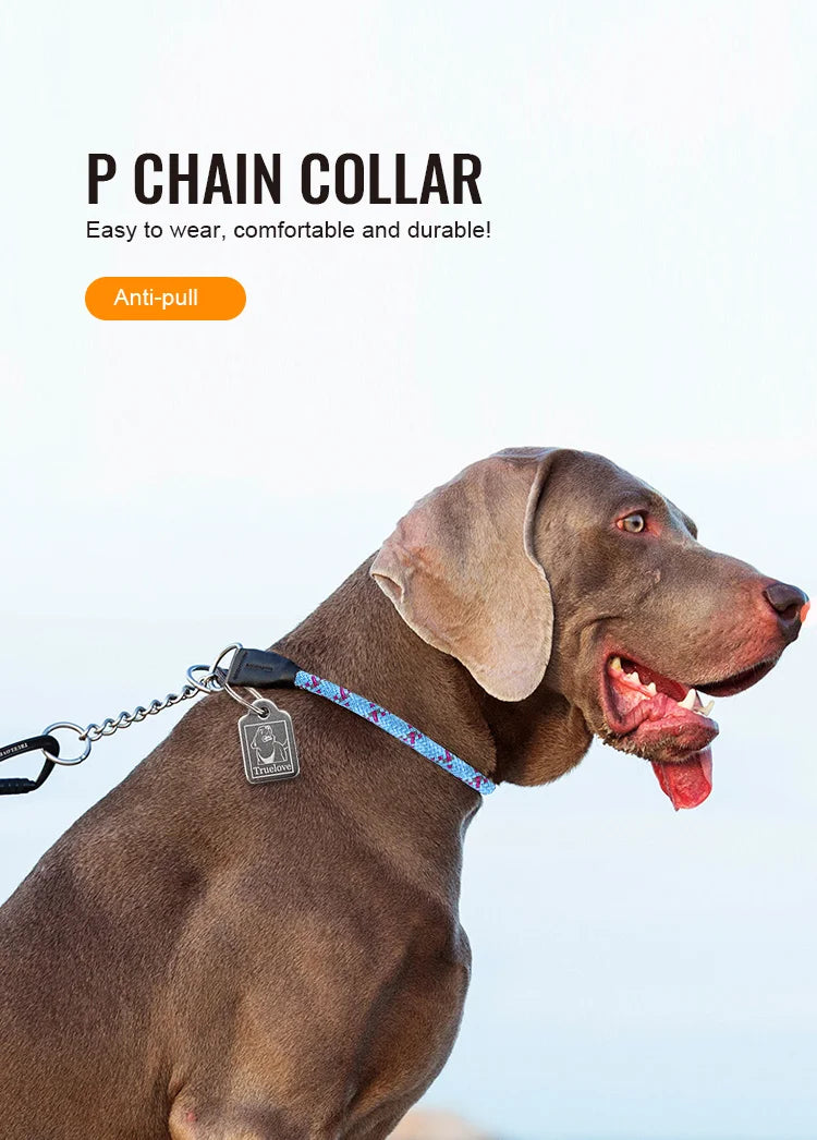 Truelove Pet P-Chain Nylon Dog Collar