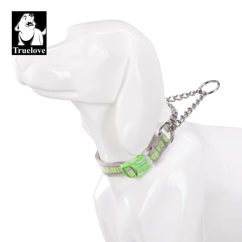 Truelove Dog Collar P-Chain Outdoor Nylon High Quality Stainless Steel Chain