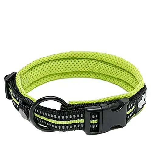 Truelove Nylon Adjustable Dog Collar