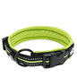 Truelove Nylon Adjustable Dog Collar