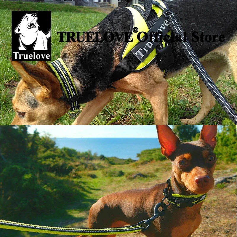 Truelove Nylon Adjustable Dog Collar