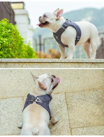 Truelove Recycled Pet Harness High Quality Adjustable Eco-friendly Recycled Material No Pull Breathable Soft Reflective TLH3012