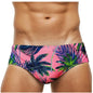 DATIFER Men's Sexy Low Waist Swim Briefs