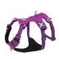 TRUELOVE Pet Nylon Harness Light-weight Double-H Shape Embroidery 5 Adjustable Positions Medium and Large Dog Waterproof  YH1807