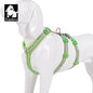 Truelove Double H Harness Neoprene Padding Durable Strong Reflective Gow in the Dark Aluminum Alloy Fitting Light Weight TLH6571
