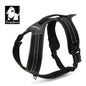 Truelove Sport Nylon Reflective No Pull Dog Harness Outdoor Adventure Pet Vest with Handle XS to XL 5 Colors In Stock Factory