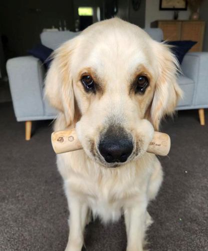 Coffee Wood Chews DogTreatNZ