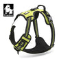 Truelove Dog Harness No Pull Pet Harness