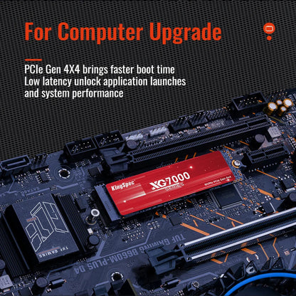 M.2 PCIe NVMe SSD 256GB/512GB/1TB/2TB for Laptop & PS5 Habicare