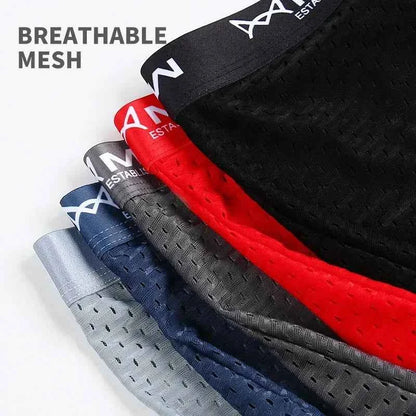 MiiOW 3Pcs Ice Silk Sexy Men Underwear Graphene Antibacterial Men's Panties Mens Underpants Mesh Breathable 4XL Man Boxer Briefs