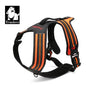 Truelove Sport Nylon Reflective No Pull Dog Harness Outdoor Adventure Pet Vest with Handle XS to XL 5 Colors In Stock Factory