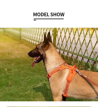 TRUE LOVE Pet Harness No Pull Nylon Reflective Dog Harness Adjustable Comfortable Control Step-in Brilliant Truelove TLH5654