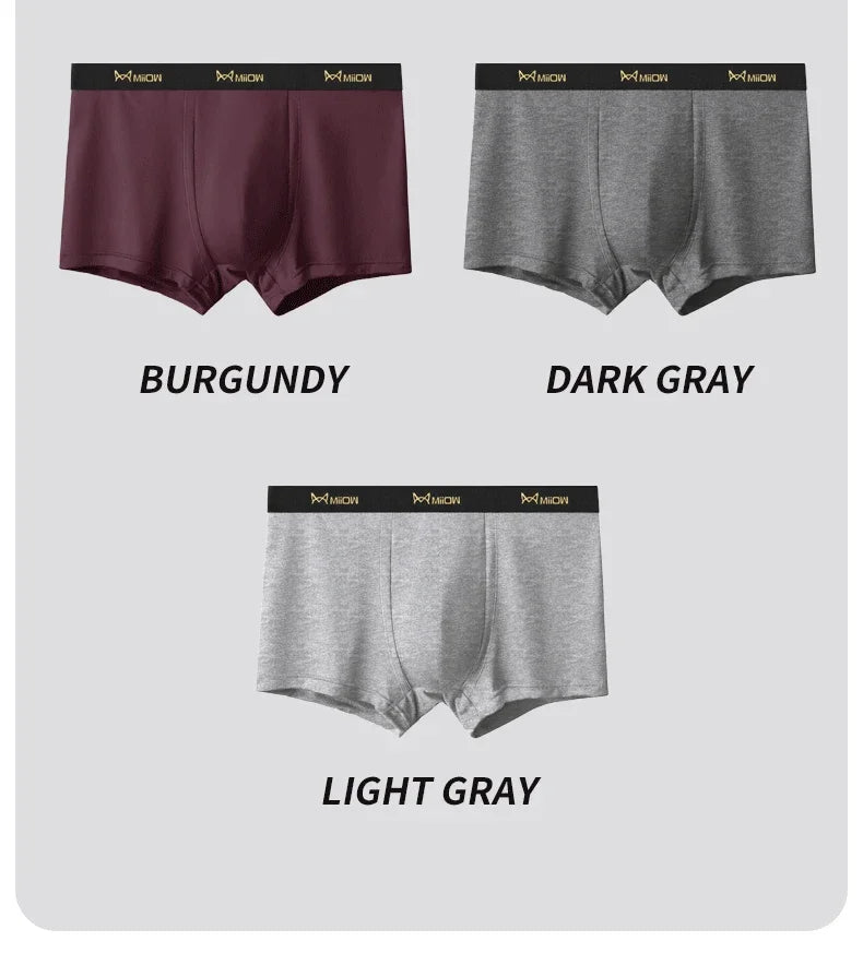 MiiOW 3Pcs Men's Antibacterial Boxer Underwear - Cotton Breathable Mesh Crotch Plus Size Boxershorts