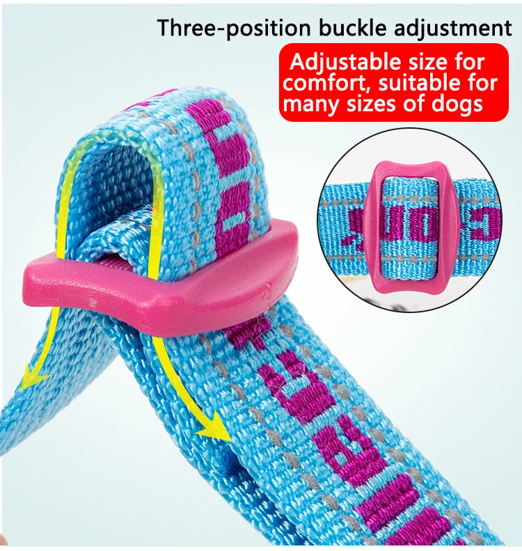 Truelove Dog Collar P-Chain Outdoor Nylon High Quality Stainless Steel Chain