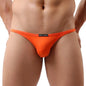 BRAVE PERSON Sexy Men's Mini Briefs Low Waist Smooth Ice Silk Nylon Underpants