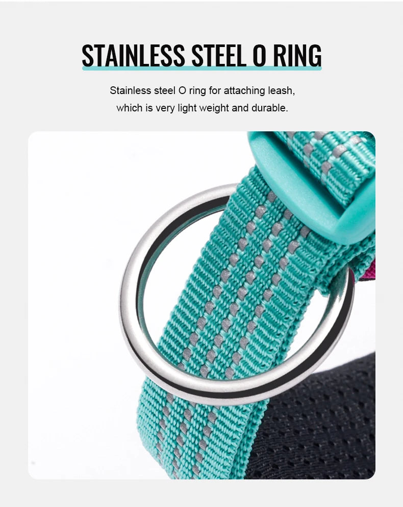 Truelove Pet Collar Reflective Multifunctional Dog Collar