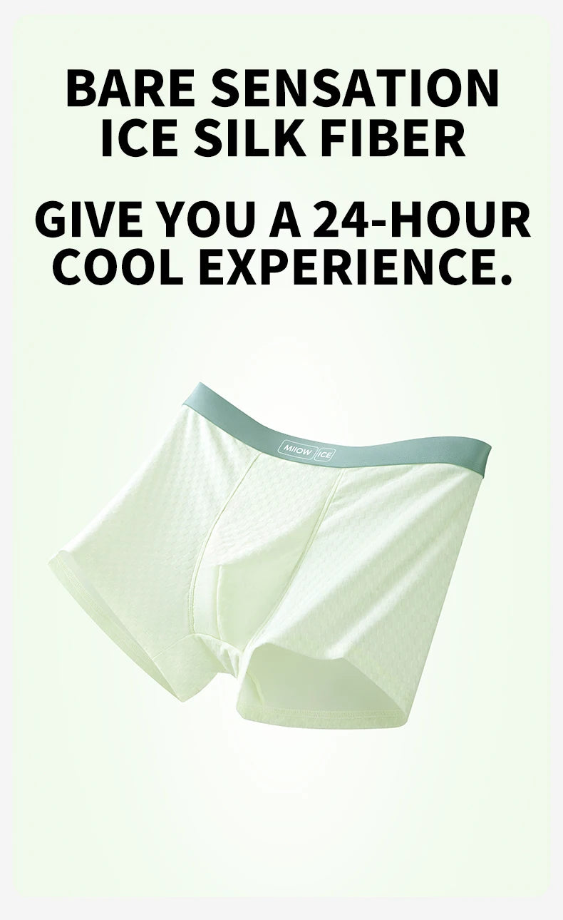 MiiOW Men's Antibacterial Underwear 4Pcs Silky Ice Silk Boxer Briefs