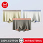 MiiOW Men's Cotton Underwear 3Pcs Silky Softness Antibacterial Boxers