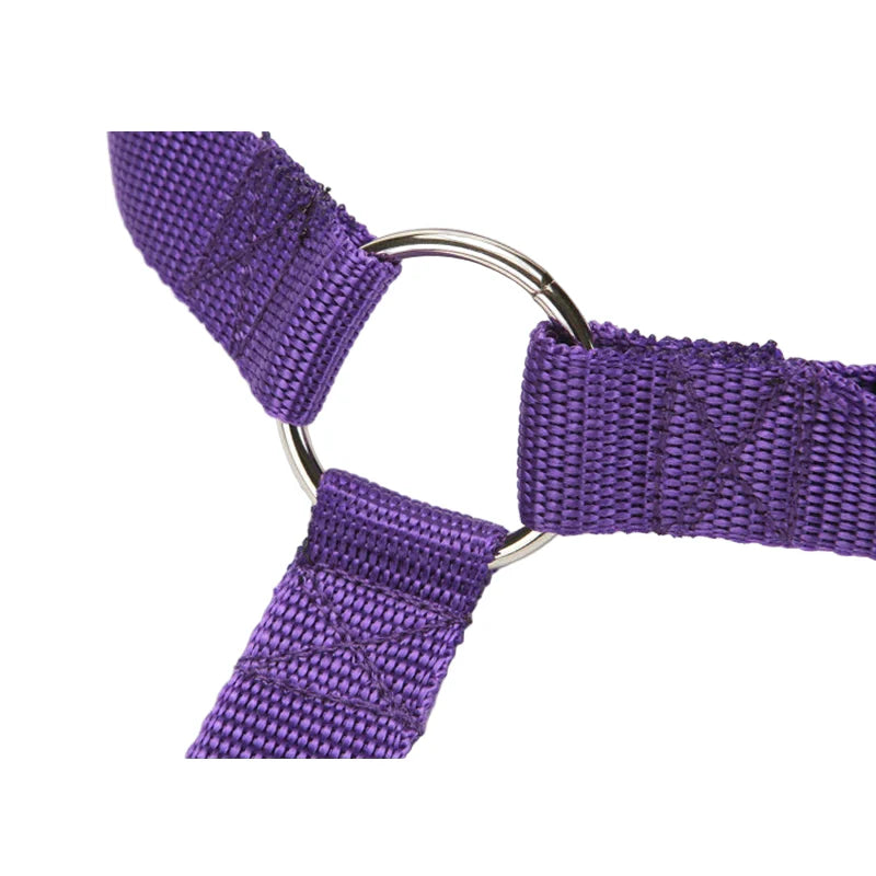 Vehcile Belt & Adjustable Nylon Leash for Dogs (7 colors available) Habicare