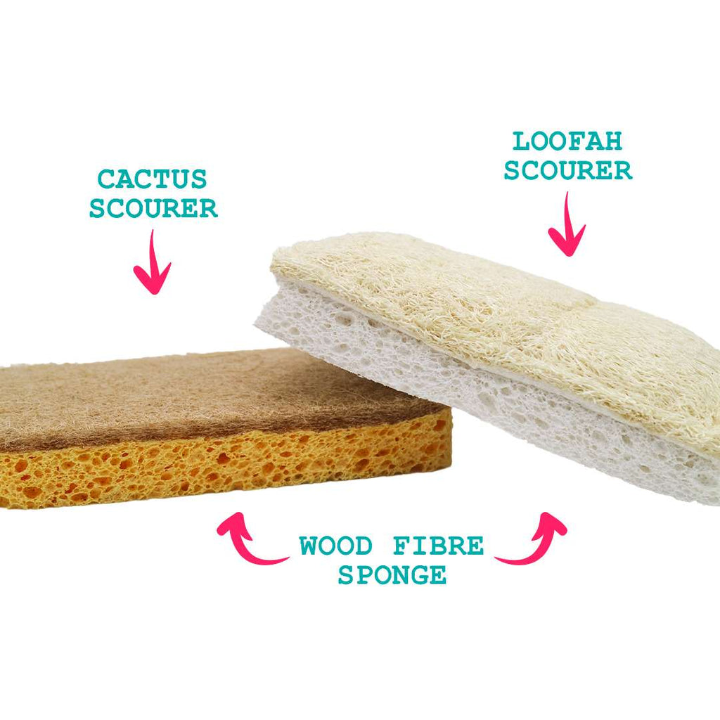 Compostable Eco-Scourers & Sponge Bundle-2
