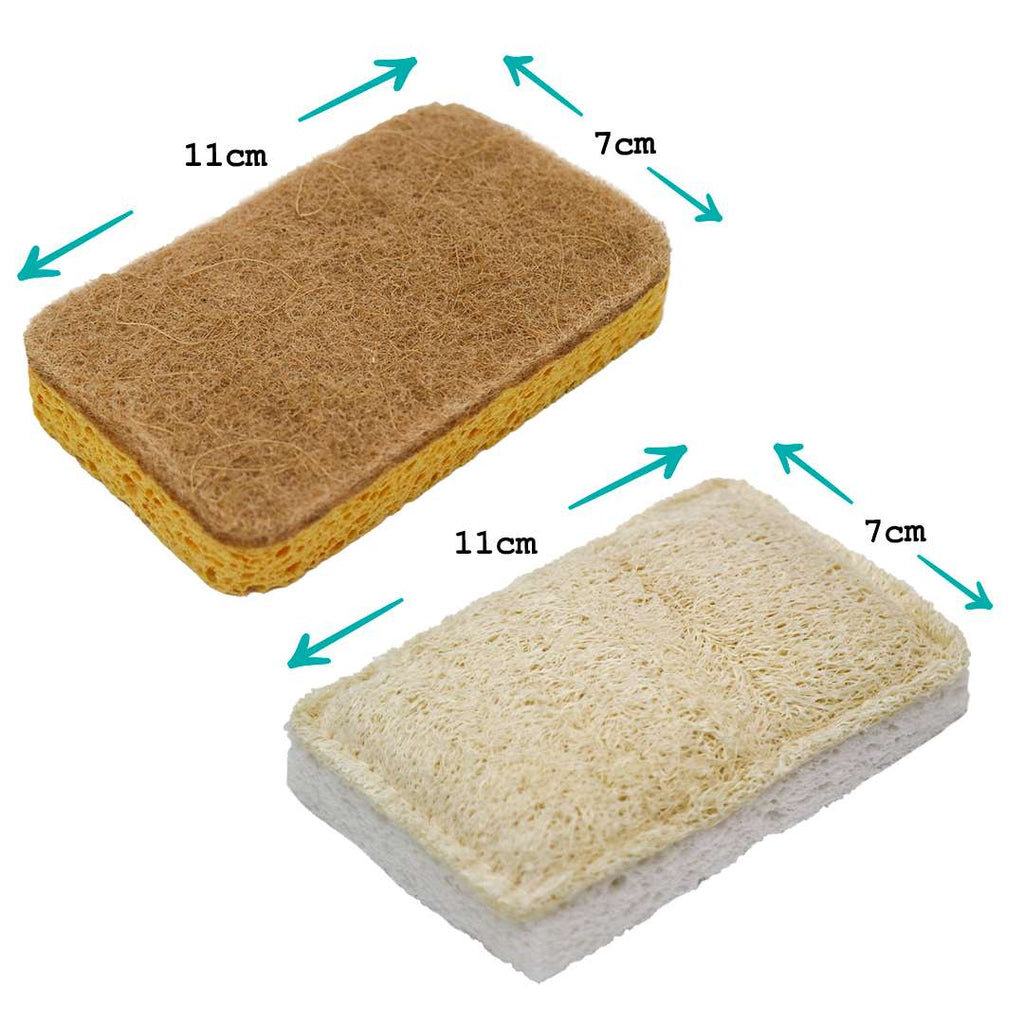 Compostable Eco-Scourers & Sponge Bundle-4