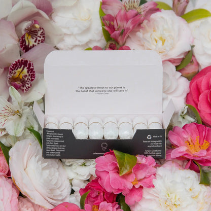 Super Organic Tampons Bulk Supply - 12 Month Supply - ShopHub