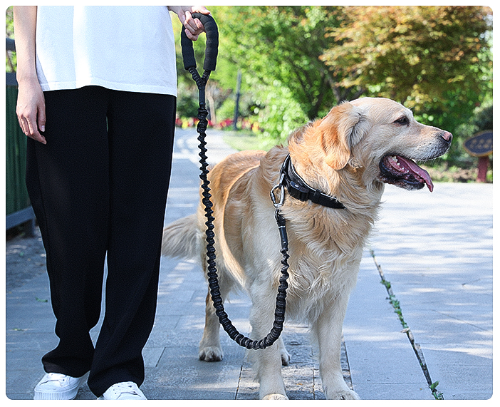 Dog Leash Heavy Duty 80-105cm Shock Absorbing Bungee with Handle BK dealonline.co.nz