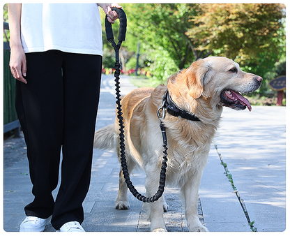 Dog Leash Heavy Duty 80-105cm Shock Absorbing Bungee with Handle BK dealonline.co.nz