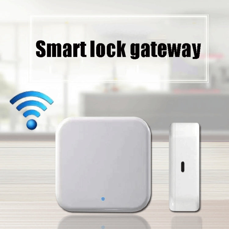 G2 2.4G WiFi Smart Password Lock Gateway