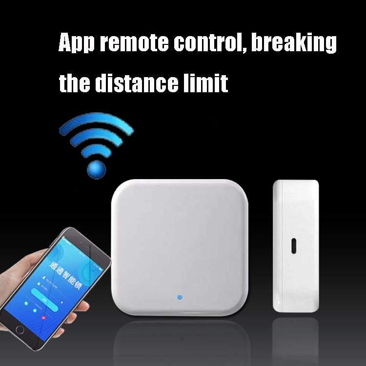 G2 2.4G WiFi Smart Password Lock Gateway