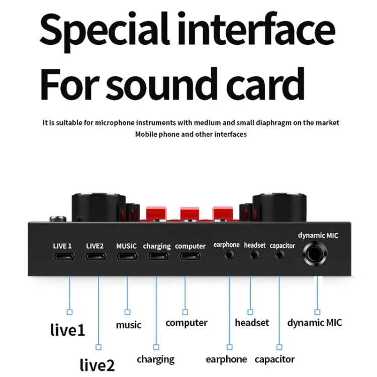 Audio Condenser Mic Studio Singing Microphone