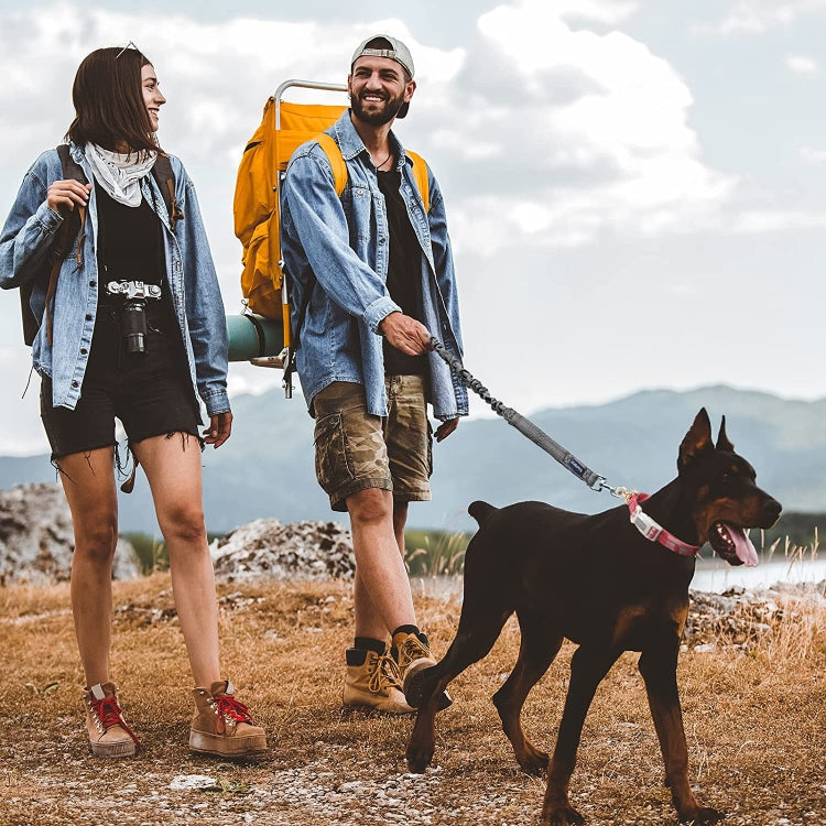 For AirTag Tracker Silicone Sleeve Medium Dog Collar Nylon Reflective Anti-Tangle Pet Collar