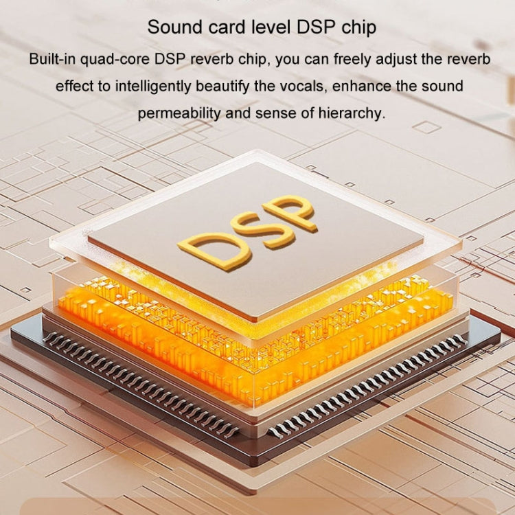 Portable Bluetooth Speaker Home And Outdoor Wireless Karaoke Audio