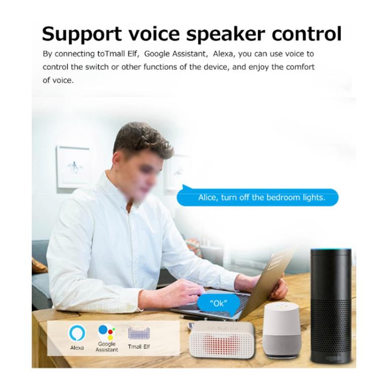 Smart Switch DIY Breaker 2 Way Control Voice Control