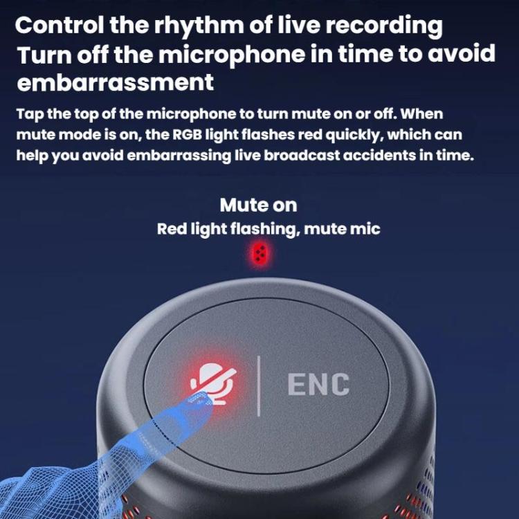 Condenser Microphone Computer Phone Recording Video Live Receiving Noise Reduction USB Mic