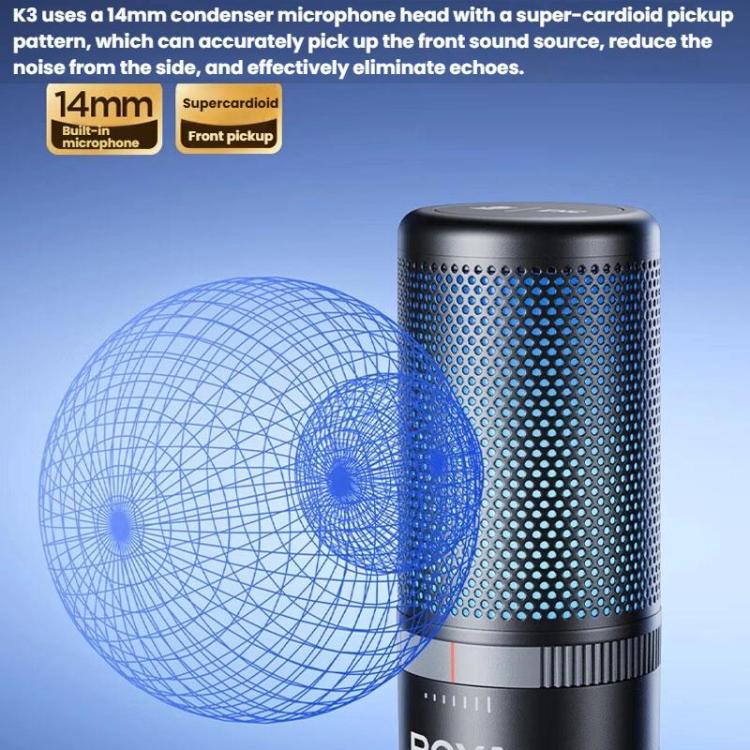 Condenser Microphone Computer Phone Recording Video Live Receiving Noise Reduction USB Mic