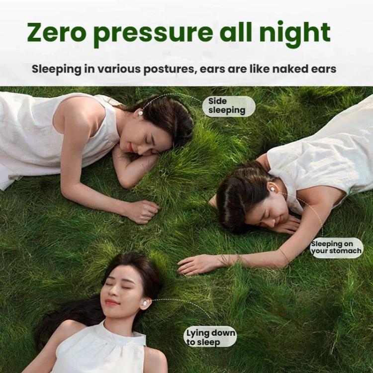 ANKER SoundCore Sleep A30 Active Noise Reduction Bluetooth Wireless Earphones