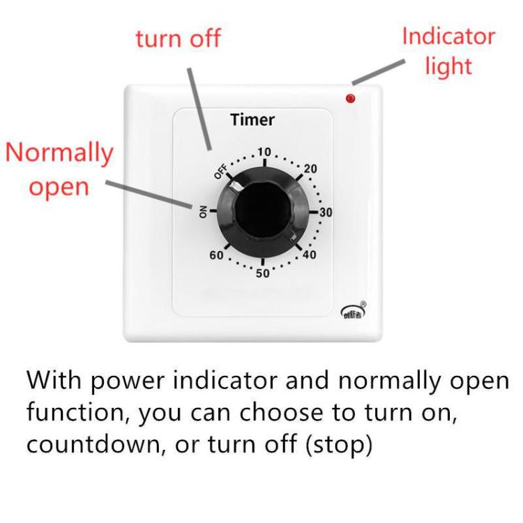 15A Countdown Timer Switch Socket With Power Indicator & Normally Open Function