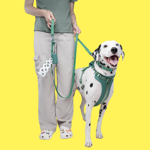 Customisable Dog Lead | Green Walkieez