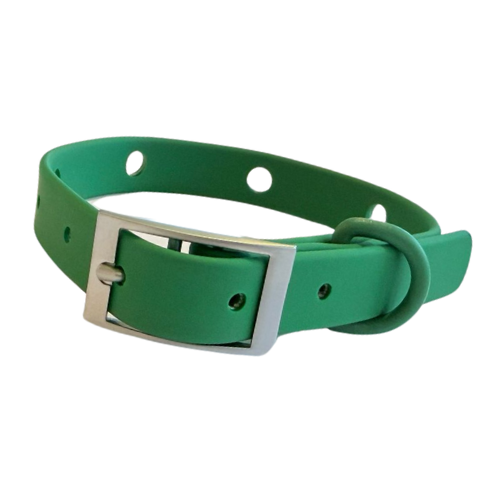 Dog Collar | Green Walkieez