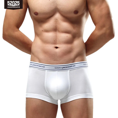 52025 Daily Quartet Men's Cotton-Modal Stretch Boxers 4-Pack