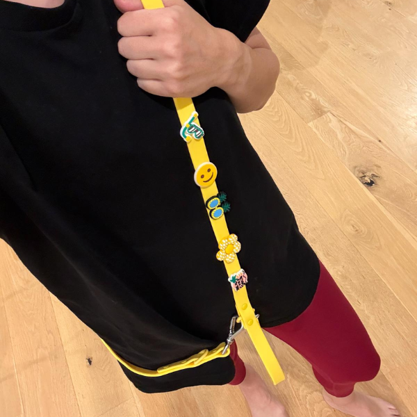 Customisable Dog Lead | Yellow Walkieez