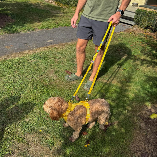 Customisable Dog Lead | Yellow Walkieez
