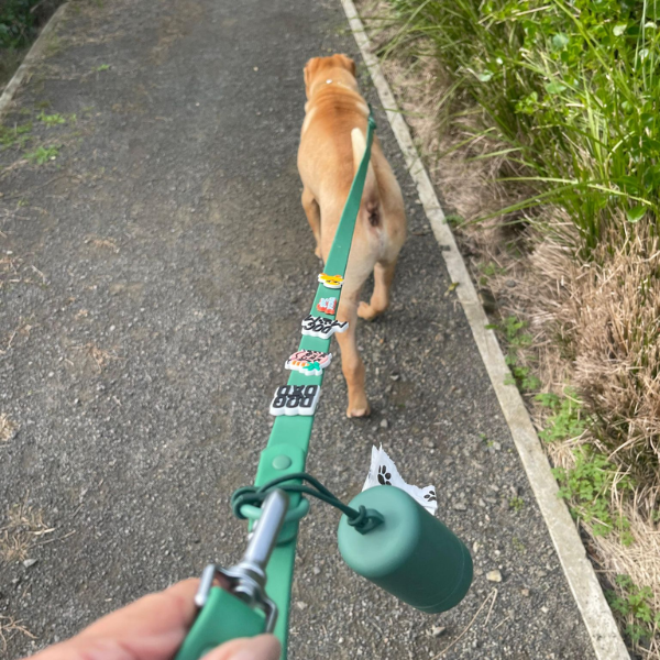 Customisable Dog Lead | Green Walkieez
