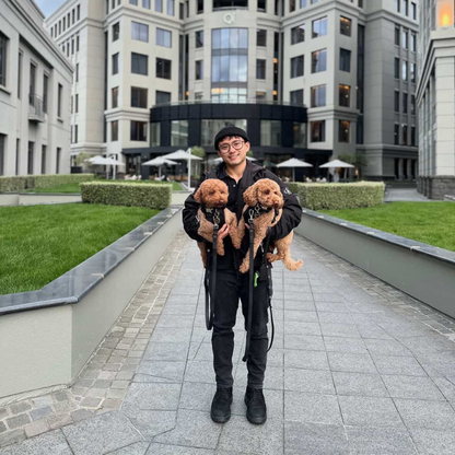 Dog Harness | Black Walkieez