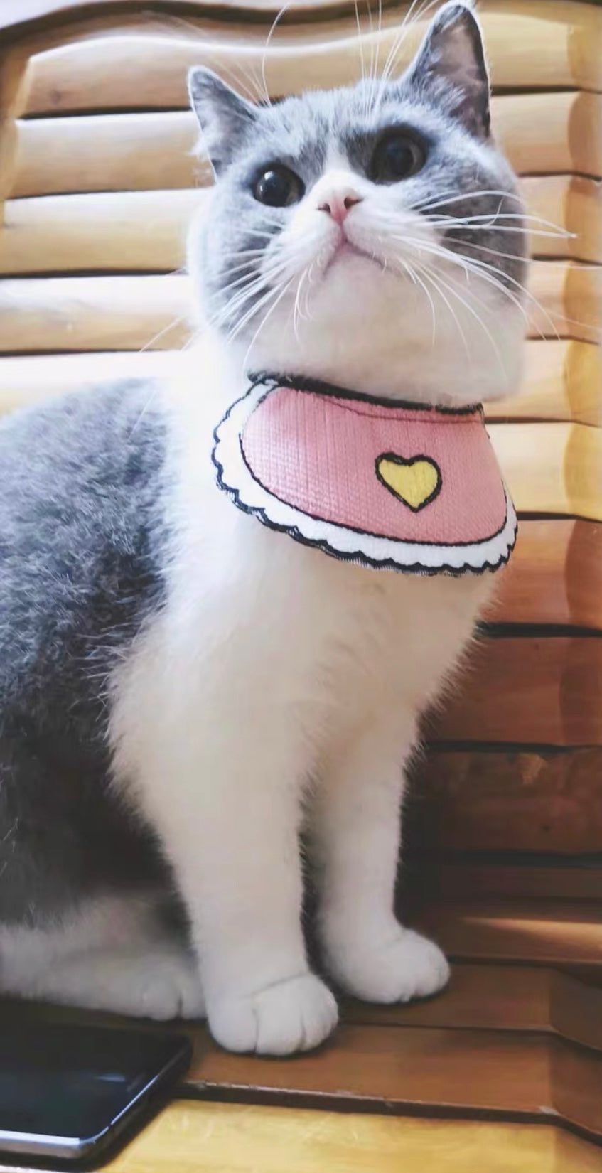 Love Pink Bibs for pets-4