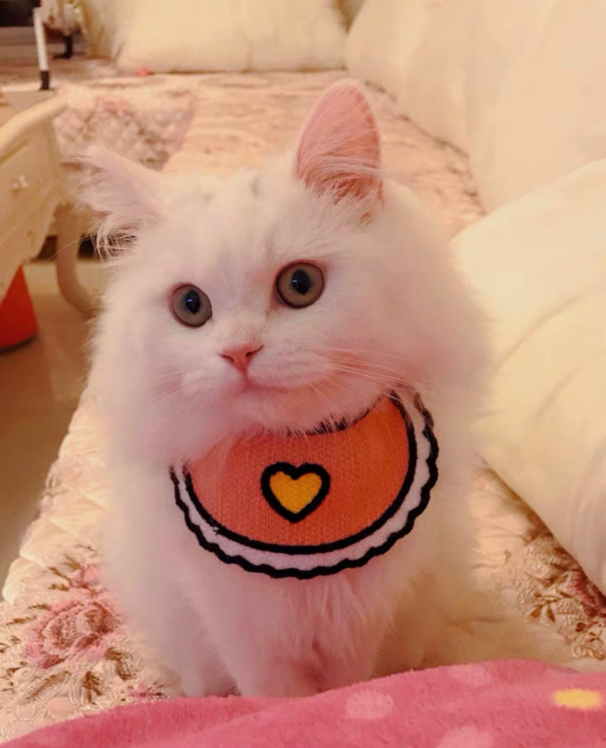 Love Pink Bibs for pets-1